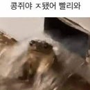(주)고삐 이미지