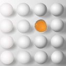 정갈한 우리음식 이미지