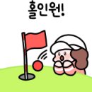 여수스포렉스 이미지