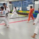 주공태권도 이미지