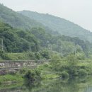 스테이위드독 이미지