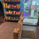 복지3리(동화1차@) | 곤충까지 만지고 가까이 보며 먹이 체험할 수 있는 방학동 실내 동물원(헬로 애니멀) 내 돈 내산 후기!!