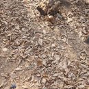 구봉중입구 | 영월 구봉대산.