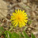 산머루펜션 이미지