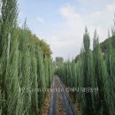 태림농원 이미지