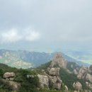 어바우코다리찜 이미지