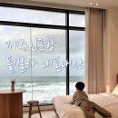 제주 인 포항 이미지