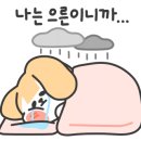 안동성소병원 이미지