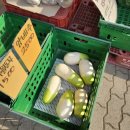 와 싸다 장터 이미지