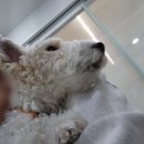 호박동물병원 이미지