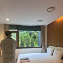 J.T산전 | [디엘린산후조리원] 숲뷰 힐링 광교 산후조리원 내돈내산 후기