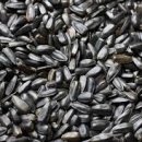 나의 작은 정원-홈 가드닝 이미지