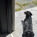 에바돈가츠 일광신도시점 | [부산/일광] 기장일광맛집 일광해수욕장맛집 추천 하나돈까스 일광신도시점