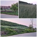 해솔목장 이미지