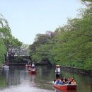 물의도시 柳川市(야나가와)-여름휴가지 강추!!! 이미지