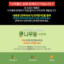 약재용 25년생 두충나무 다수 ( 몇백- 몇천) 판매 파는곳 사는곳 이미지