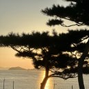 라르고빌리조트