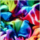 세계 여행 행정사 이미지