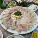 수목횟집 티스토리