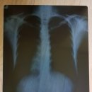 울산영상의학과의원 이미지