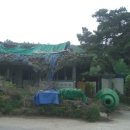 보만정지 이미지