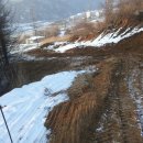 수배농장 이미지