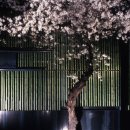 유동룡미술관 이미지