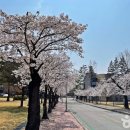 완산공원(정상) 이미지