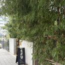 보느파티쓰리 | 부산빵전 후기 (보느파티쓰리,쿠루미과자점,바닷마을과저점,모모스커피) 사진 글 많음 주의..거의...