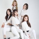 피에스타 카카오 검색결과