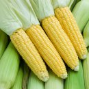 북이면주민자치센터 이미지