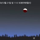 월하정인 이미지