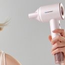 7300 | 블라우풍트 에어이지 프로 에어홀 BLDC 드라이기 BLP-HD7300 1500W 솔직후기