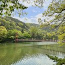 입곡군립공원(운동장앞) | 경남 함안 입곡군립공원 단풍명소 출렁다리 산책하기 좋은곳