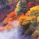 하늘안 - 양주시 평화로1261번길 372-146 | 하늘안