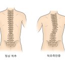 영남대학교의과대학부속영천병원 이미지