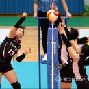 고송희