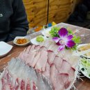 고흥상회 | 가락시장 수산시장 모둠회 늦게까지하는 곳 고흥상회 내돈내산 방문후기 (주차 정보)