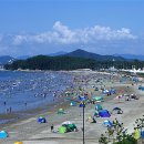 서천 뉴시스