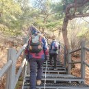 대열등산동호회 2024년 2월 용마산, 아차산 산행 ＜후기＞ 이미지