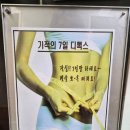 식물테라피 | 의왕시힐링카페 다낭에서 즐긴 족욕&원적외선테라피 후기