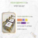 자연과식물원예연구소