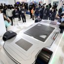 영남밧데리 이미지