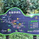 정자중앙길 이미지