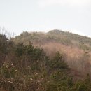 삼기면사무소 이미지