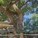 선황경로당 이미지