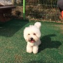 김뚱보 이미지
