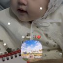 위즈덤케이크 이미지