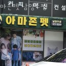 아마존펫 | 호평동 애견용품 아마존펫 남양주점 위치.가격.시간.후기