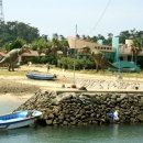 공룡의숨결 이미지